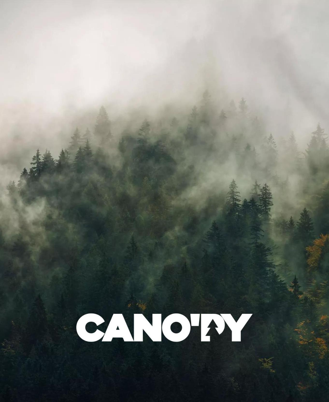 Cano'Py, Charmant 2 Pieces Avec Vue Montagne En Coeur De Ville Bagneres-de-Luchon Экстерьер фото